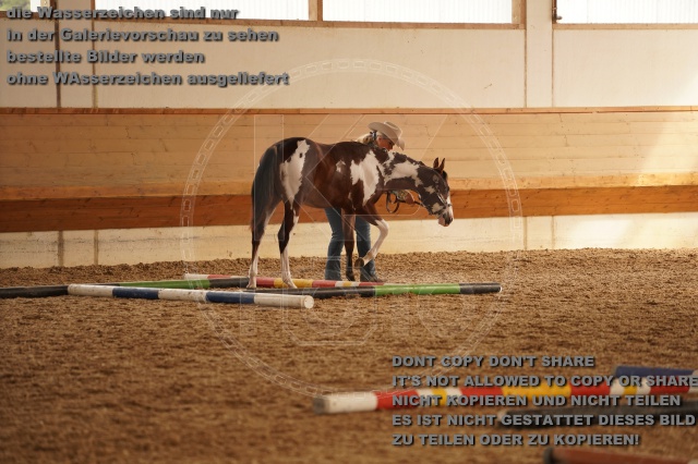s_A_901227.JPG